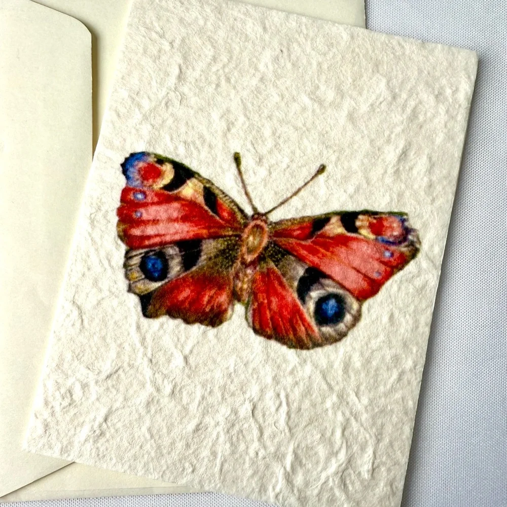 Frog and butterfly textured paper greeting card set of two
